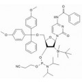 anti-HYAL1 antibody (Hyaluronidase-1) (N-Term)