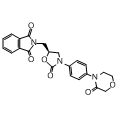 anti-HYAL1 antibody (Hyaluronidase-1) (N-Term)