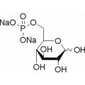 anti-HYAL1 antibody (Hyaluronidase-1) (N-Term)