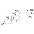 anti-HYAL1 antibody (Hyaluronidase-1) (N-Term)