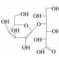 anti-HYAL1 antibody (Hyaluronidase-1) (N-Term)