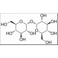 anti-HYAL1 antibody (Hyaluronidase-1) (N-Term)