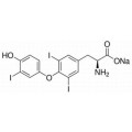 anti-HYAL1 antibody (Hyaluronidase-1) (N-Term)