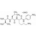anti-HYAL1 antibody (Hyaluronidase-1) (N-Term)