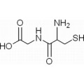 anti-HYAL1 antibody (Hyaluronidase-1) (N-Term)