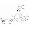 anti-HYAL1 antibody (Hyaluronidase-1) (N-Term)