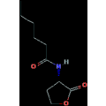 anti-HYAL1 antibody (Hyaluronidase-1) (N-Term)