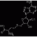 anti-HYAL1 antibody (Hyaluronidase-1) (N-Term)