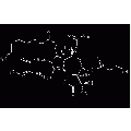 anti-HYAL1 antibody (Hyaluronidase-1) (N-Term)