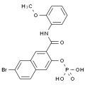 anti-HYAL1 antibody (Hyaluronidase-1) (N-Term)