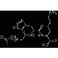anti-HYAL1 antibody (Hyaluronidase-1) (N-Term)