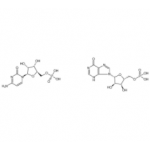 MCY36699 聚肌苷酸-聚胞苷酸钠盐 [42424-50-0]