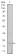 SNAI1 Primary Antibody MP30145 [M6D2]