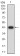NAGR1 Primary Antibody MP31714  [M7E2D6]