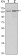 KDM3A Primary Antibody MP30133 [M1E12]
