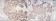 ERBB2 Primary Antibody MP30112 [M6C2]
