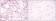 PRKAA1 Primary Antibody MP30172 [M2B7]
