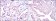 E7 Primary Antibody MP30179 [M6F3]