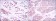 BECN1 Primary Antibody MP30182 [M2A4]