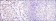 CREB1 Primary Antibody MP30200 [M5G3]