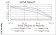WTAP Primary Antibody MP30788 [M6B6B6]