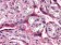CTNNB1 Primary Antibody MP20412 [M4D5]