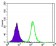 ATXN1 Primary Antibody MP30146 [M2F5]