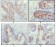IGFBP2 Primary Antibody MP20204 [M1F6F6]