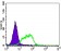 RASSF1 Primary Antibody MP20441 [M4G9A3]