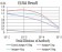 TTF1 Primary Antibody MP31032 [M2F4D8]