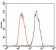 TRIM28 Primary Antibody MP20436 [M3G10A3]