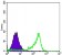 PAX6 Primary Antibody MP30066 [M1C8]