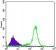 IL34 Primary Antibody MP30071 [M1D12]
