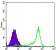 BCL-2 Primary Antibody MP30077 [M8E12]