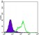 THAP11 Primary Antibody MP30083 [M3F3]