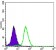 CD276 Primary Antibody MP30103 [M6A1]