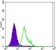 ERBB2 Primary Antibody MP30112 [M6C2]