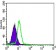 CSK Primary Antibody MP30117 [M5F3]
