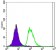 Oct4  Primary Antibody MP30119 [M7E7]