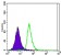 SLC22A1 Primary Antibody MP30140 [M2C5]