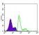 PDK1 Primary Antibody MP30154 [M4A11]