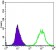 ACTA2 Primary Antibody MP30162 [M1H8]