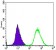 MAP2K6 Primary Antibody MP30165 [M3H12C8]