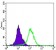 MAP2K4 Primary Antibody MP30168 [M5H4]
