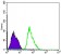 PRKAA1 Primary Antibody MP30172 [M2B7]
