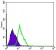 MSI1 Primary Antibody MP30177 [M2A12]