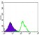 CD1A Primary Antibody MP30185 [M6H3]