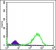 HSP60 Primary Antibody MP30193 [M3G8]