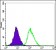 ERK3 Primary Antibody MP30194 [M4E8]