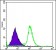 RBP4 Primary Antibody MP30196 [M4C2]